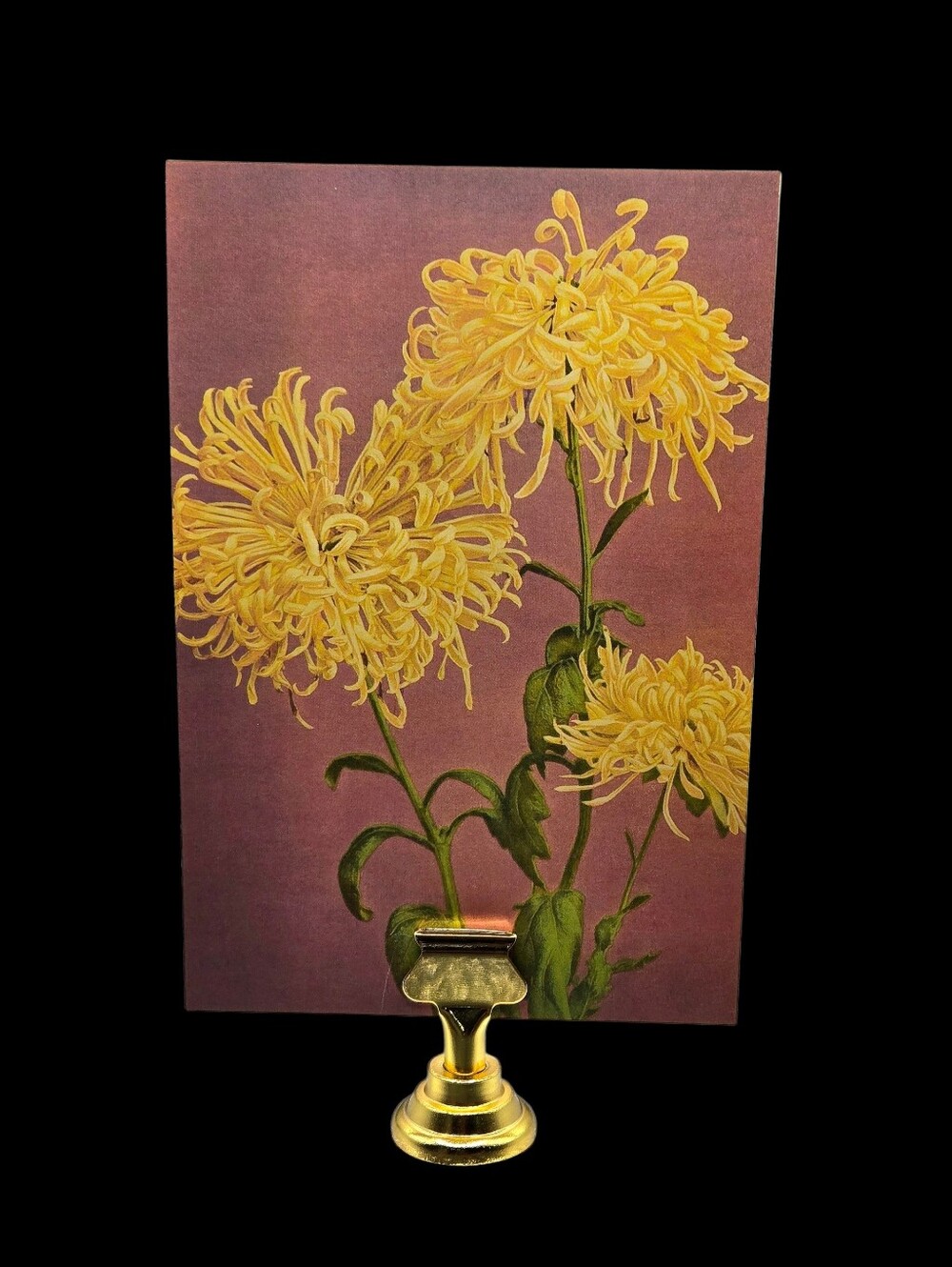 "5/$40" Set Of 2 Reversible 4x6 Flower Photo Cards W/Gold Stand